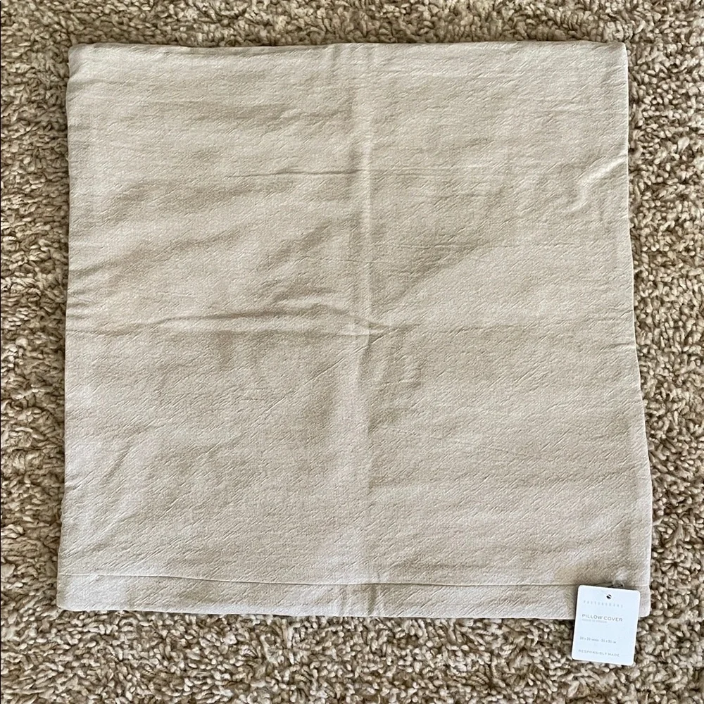 Pottery Barn Paisley Pillow Cover